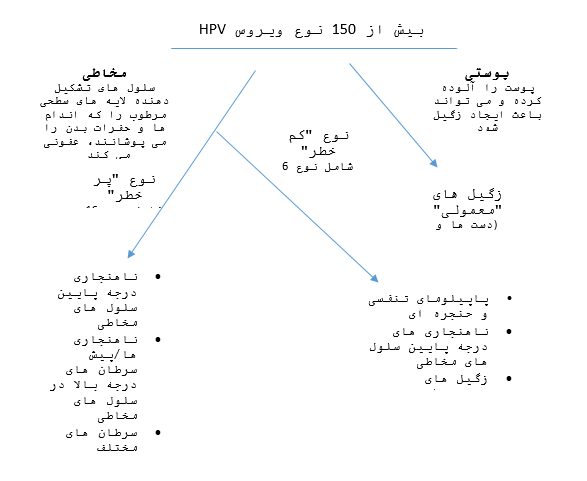 انواع ویروس HPV