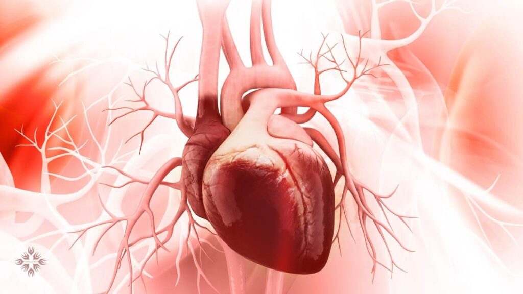 زندگی با نارسایی سیستولیک قلبی