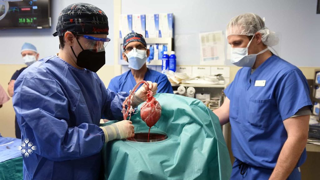 در حین جراحی پیوند قلب چه اتفاقی می افتد