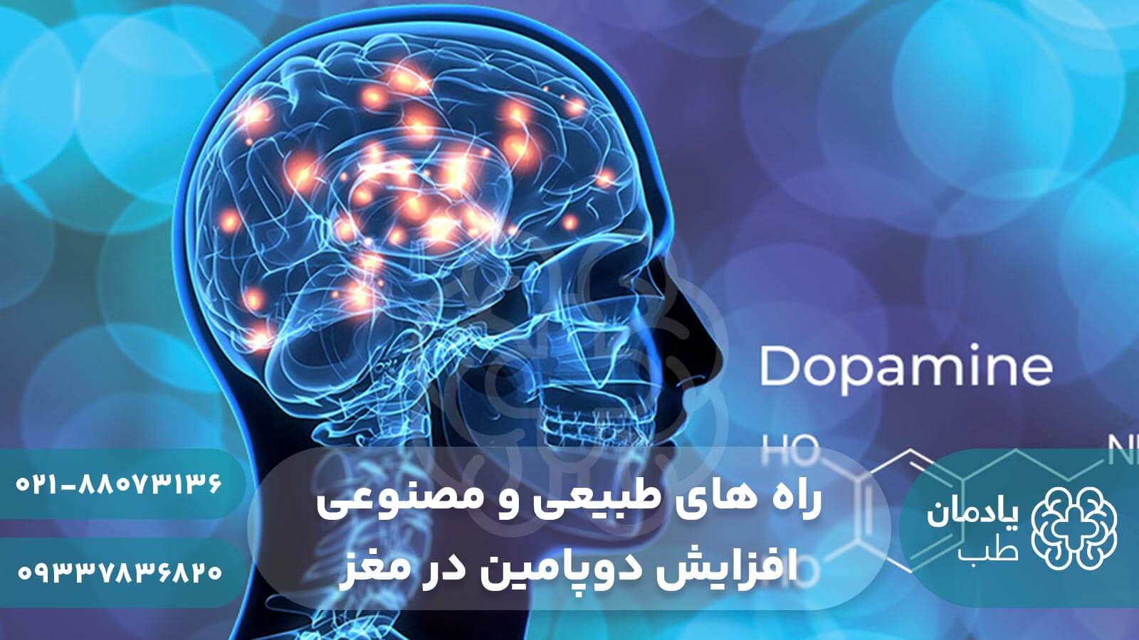 راه های افزایش دوپامین در مغز